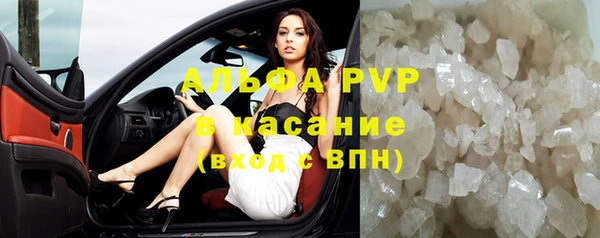 прущие грибы Гусь-Хрустальный