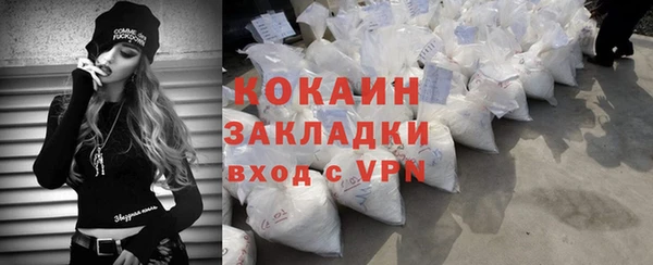 прущие грибы Гусь-Хрустальный
