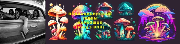 ГАЛЛЮЦИНОГЕННЫЕ ГРИБЫ Гусиноозёрск