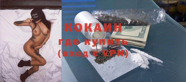прущие грибы Гусь-Хрустальный
