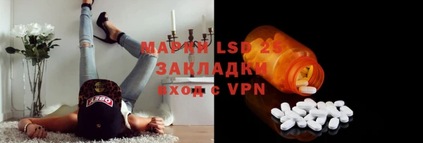 прущие грибы Гусь-Хрустальный