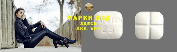 альфа пвп Гусев