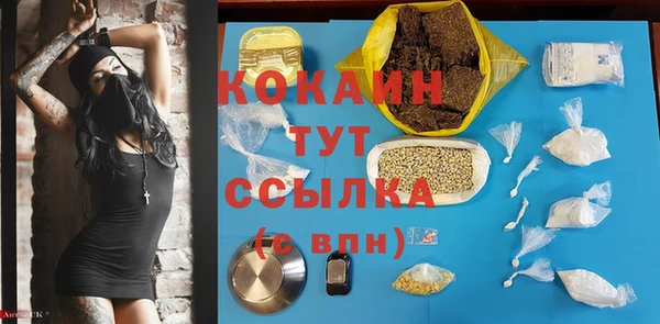 прущие грибы Гусь-Хрустальный