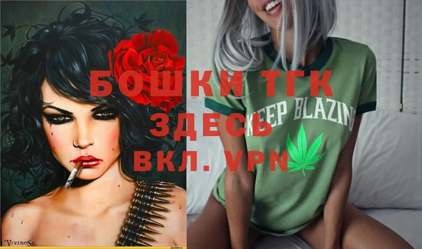 ГАЛЛЮЦИНОГЕННЫЕ ГРИБЫ Гусиноозёрск
