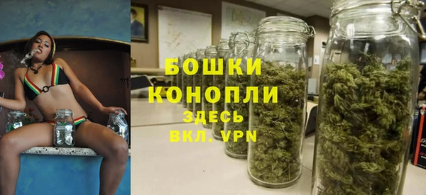 ГАЛЛЮЦИНОГЕННЫЕ ГРИБЫ Гусиноозёрск