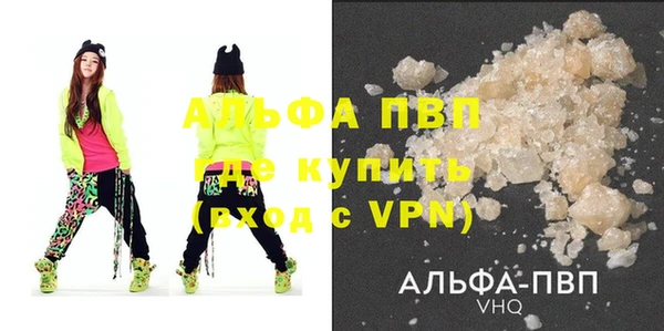 прущие грибы Гусь-Хрустальный