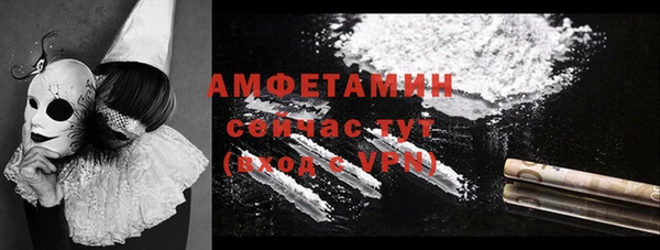 прущие грибы Гусь-Хрустальный